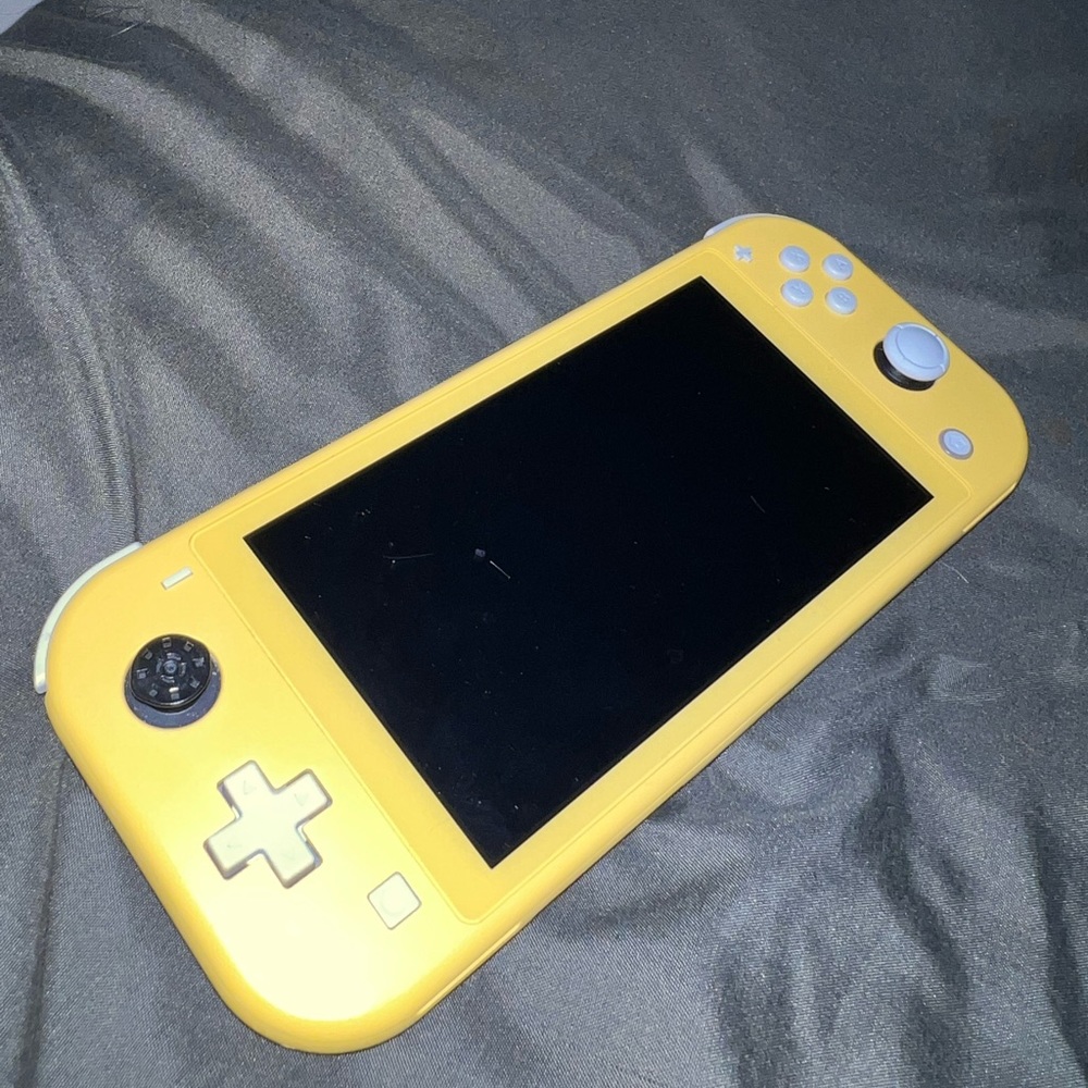 Use Nintendo switch lite